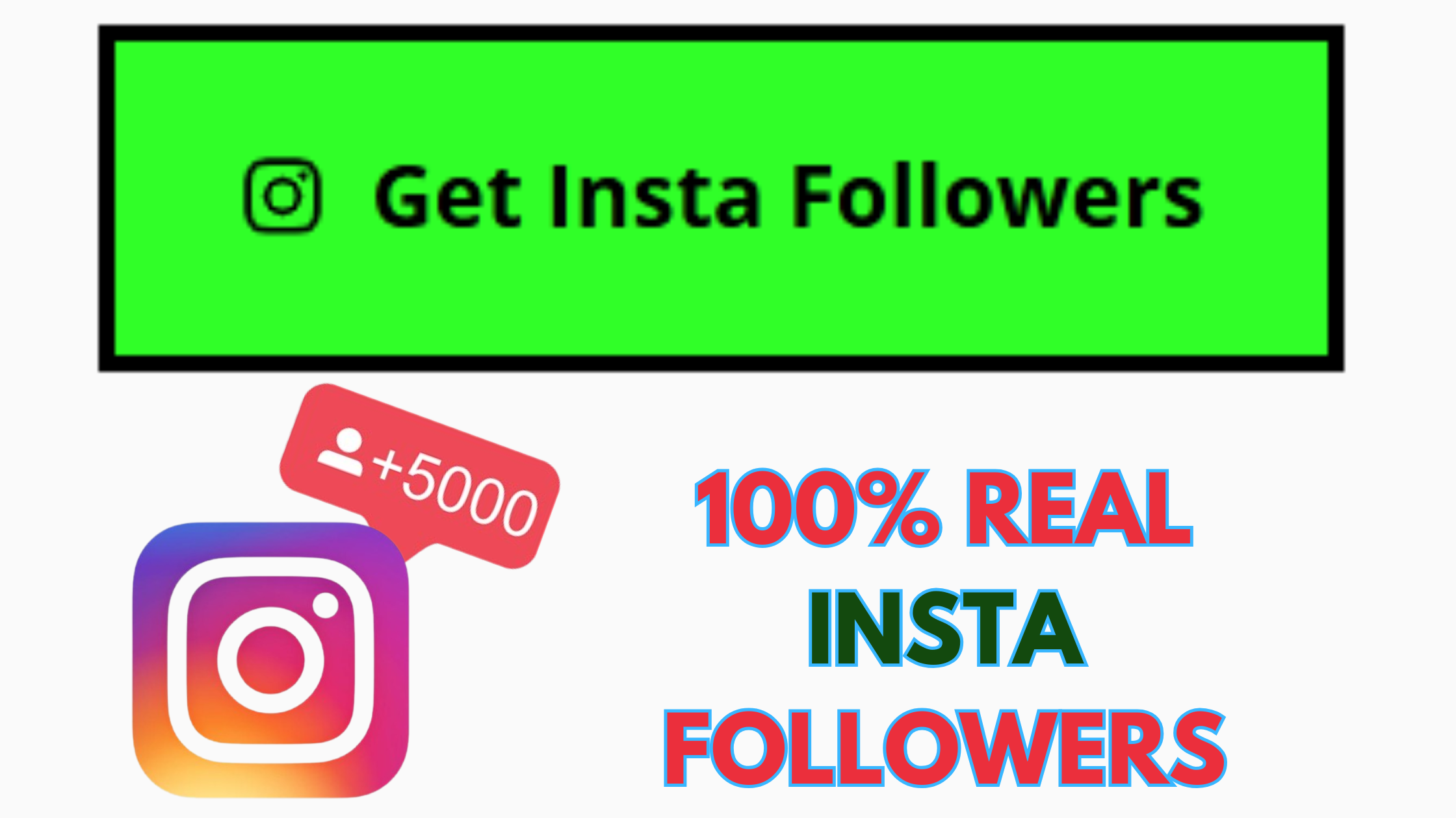 insta followers